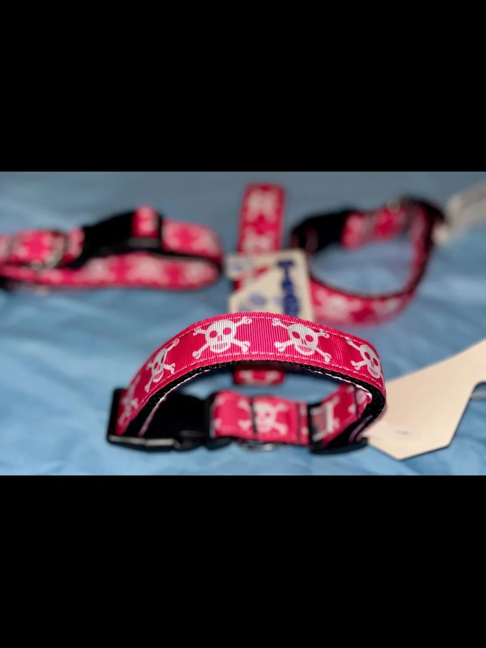 Mirage Pink Skull & Crossbones Adjustable Medium Pet Collar